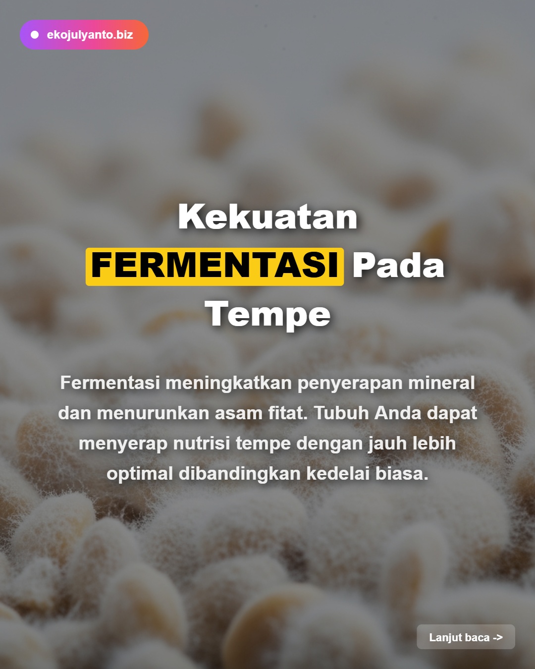 Contoh 3 Slide 4